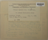 Image Associated With the Occurence